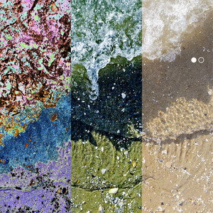 고양이 (Cat) (2024 Ver.)