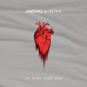 Ne m'en veux pas (feat. Auna)