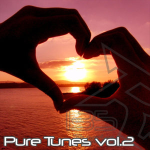 Pure Tunes Volume 2