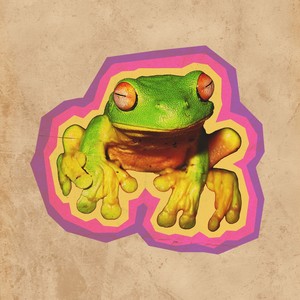 Tipo Sapo-Cururu (Explicit)