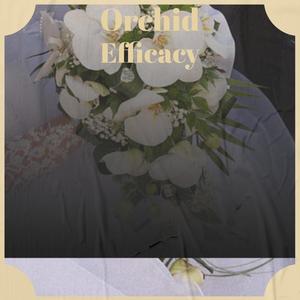 Orchid Efficacy