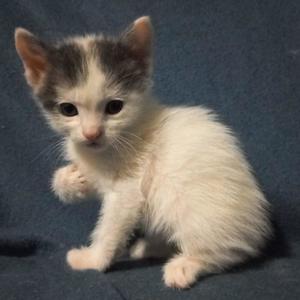 Donde las Memorias Van