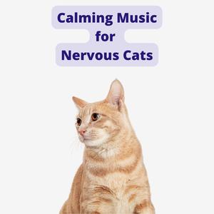 Calm Music For Cats