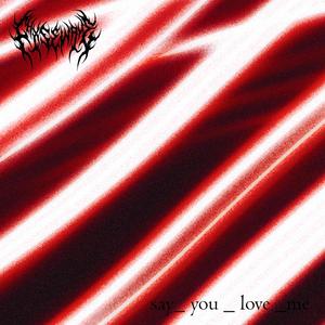 CHXSE WAVE - say_you_love_me