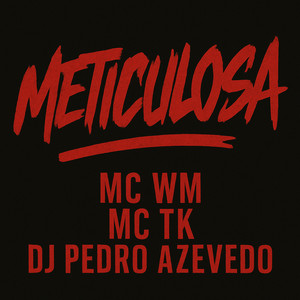 Meticulosa (Explicit)