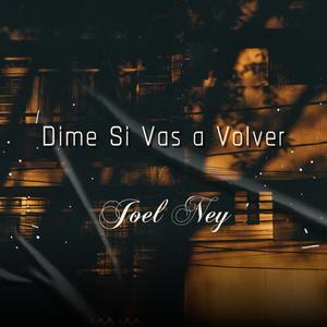 Dime Si Tu Vas A Volver (feat. The Academy: Segunda Misión)