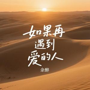 如果再遇到爱的人