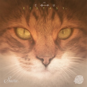 Ecstasy (Wait and See Mix)