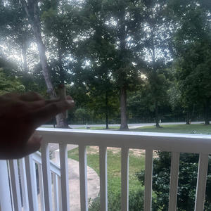 Play w ya rose (Explicit)