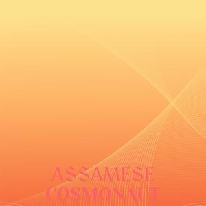 Assamese Cosmonaut