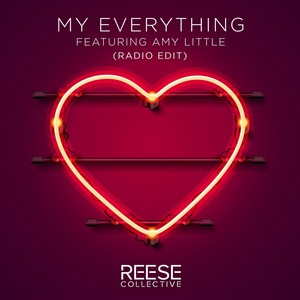 My Everything (Radio Edit) [feat. Amy Little]