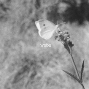 Webs
