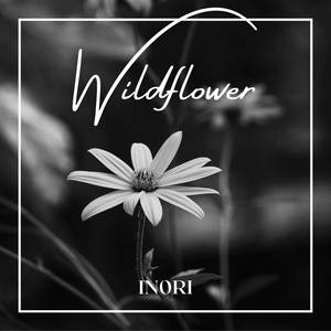 Wildflower