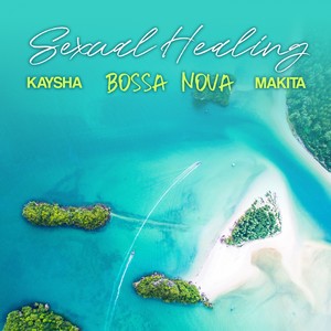 Sexual Healing (Bossa Nova)