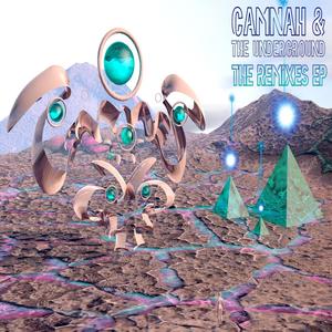 Homegrown(feat. Camnah & E Knocks) (DJ Nihilist Remix)
