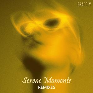 Serene Moments Remixes