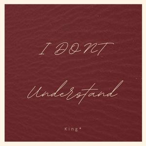 I Dont Understand (Explicit)