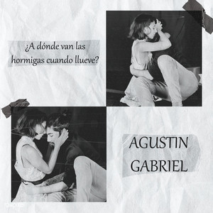 ¿A dónde van las hormigas cuando llueve?