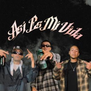 Asi Es Mi Vida (feat. Rival G, Letra B & Santo) (Explicit)
