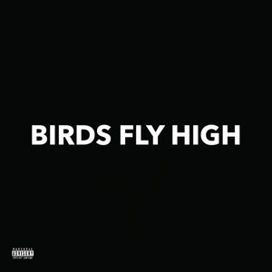 Birds Fly High (Explicit)