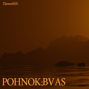 POHNOK;BVAS