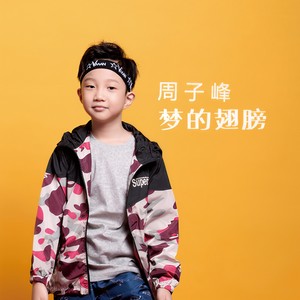 梦的翅膀