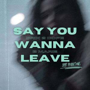 Say You Wanna Leave (Explicit)