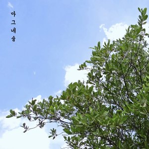 마그네슘 (镁)