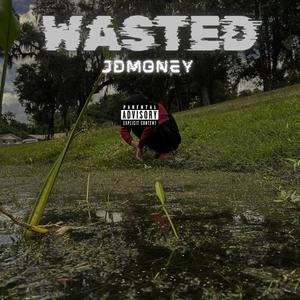 wasted (Explicit)