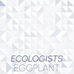 Ecologists Eggplant