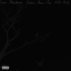 Didn't Have Too (Explicit)