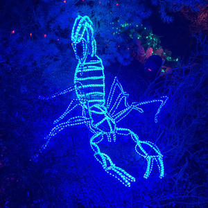 DOWNTOWN. (Explicit)