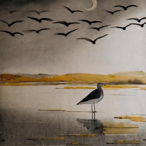 introvert (Explicit)