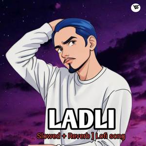 LADLI silowed reverb