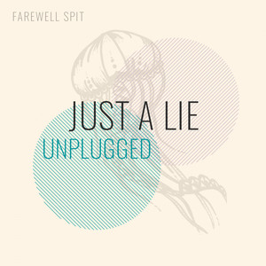 Just A Lie (Unplugged)