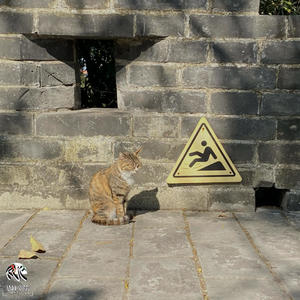 2015 stockade hill anzac parade // akl -> kuc