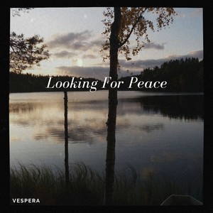 Looking for Peace