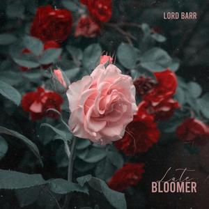 Late Bloomer (Explicit)