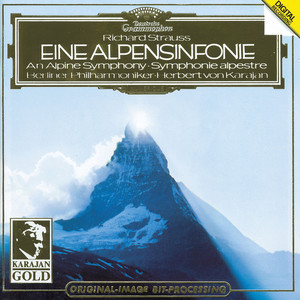 Eine Alpensinfonie, Op. 64 - XVI. Die Sonne verdüstert sich allmählich (阿尔卑斯山交响曲，作品 64 - 第十六段 太阳渐渐暗了下来)
