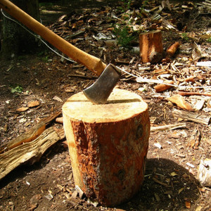 Возвращение