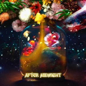 AFTER MIDNIGHT (Explicit)