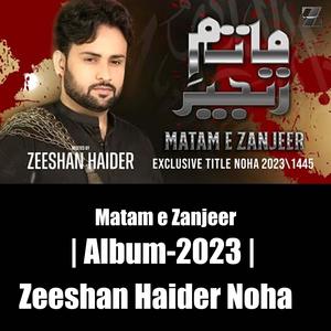 Zeeshan Haider | Matam e Zanjeer | 2023