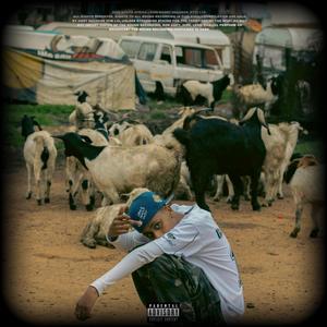 EVIDENCE (Explicit)