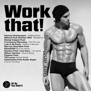 Oh No You Didn't! Presents: Work That! (Gay Anthems)