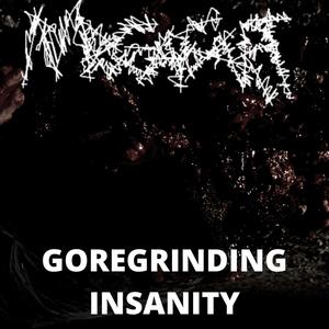 GOREGRINDING INSANITY