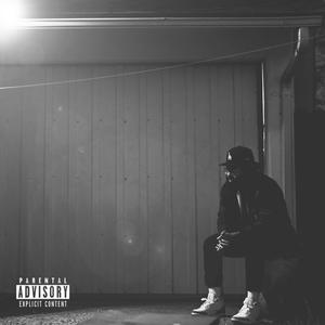 P.T.S.D (Pushing Through **** Daily) [Explicit]
