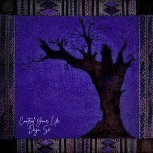 Control Your Life (feat. Sé)