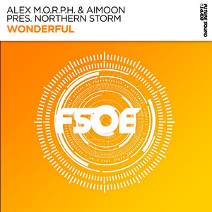 Wonderful (Extended Mix)