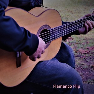 Flamenco Flip