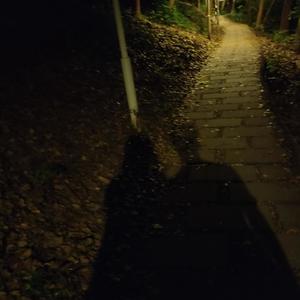 夜明けのプリズム